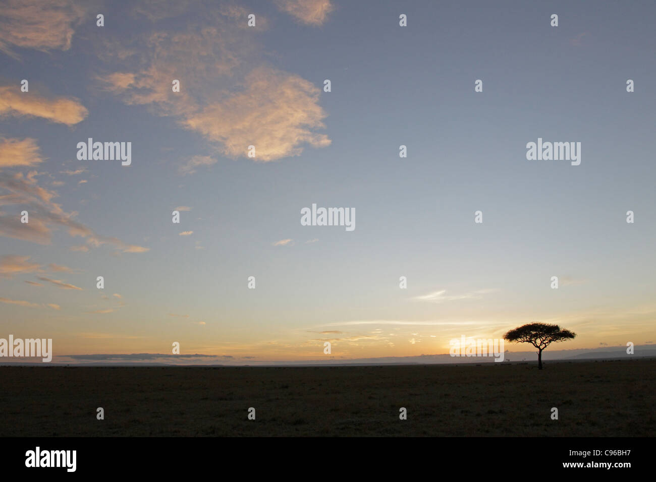 Alba sul Masai Mara Foto Stock