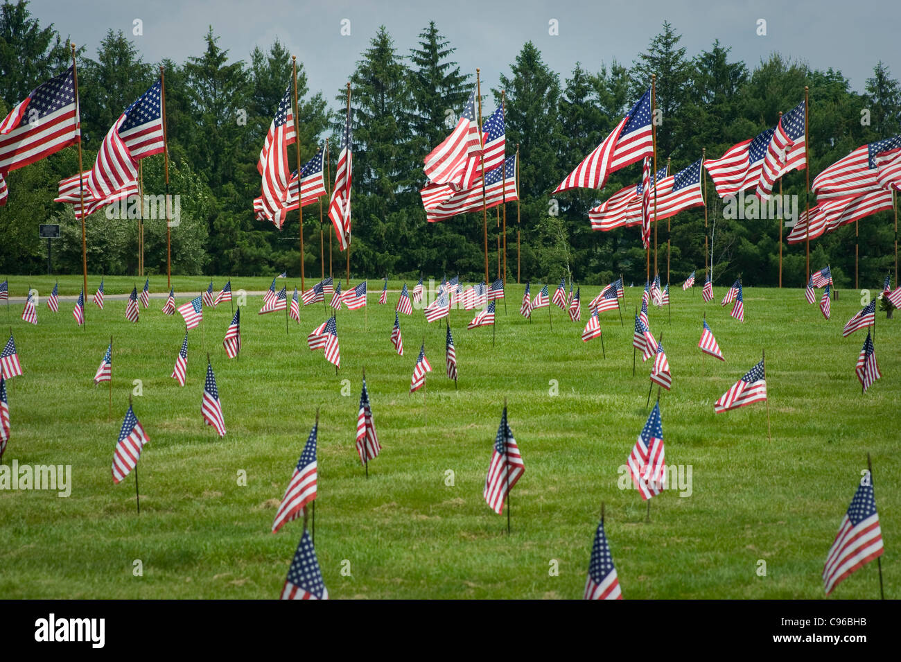Bandierine americane nel cimitero dei veterani del Memorial Day, STATI UNITI D'AMERICA Foto Stock