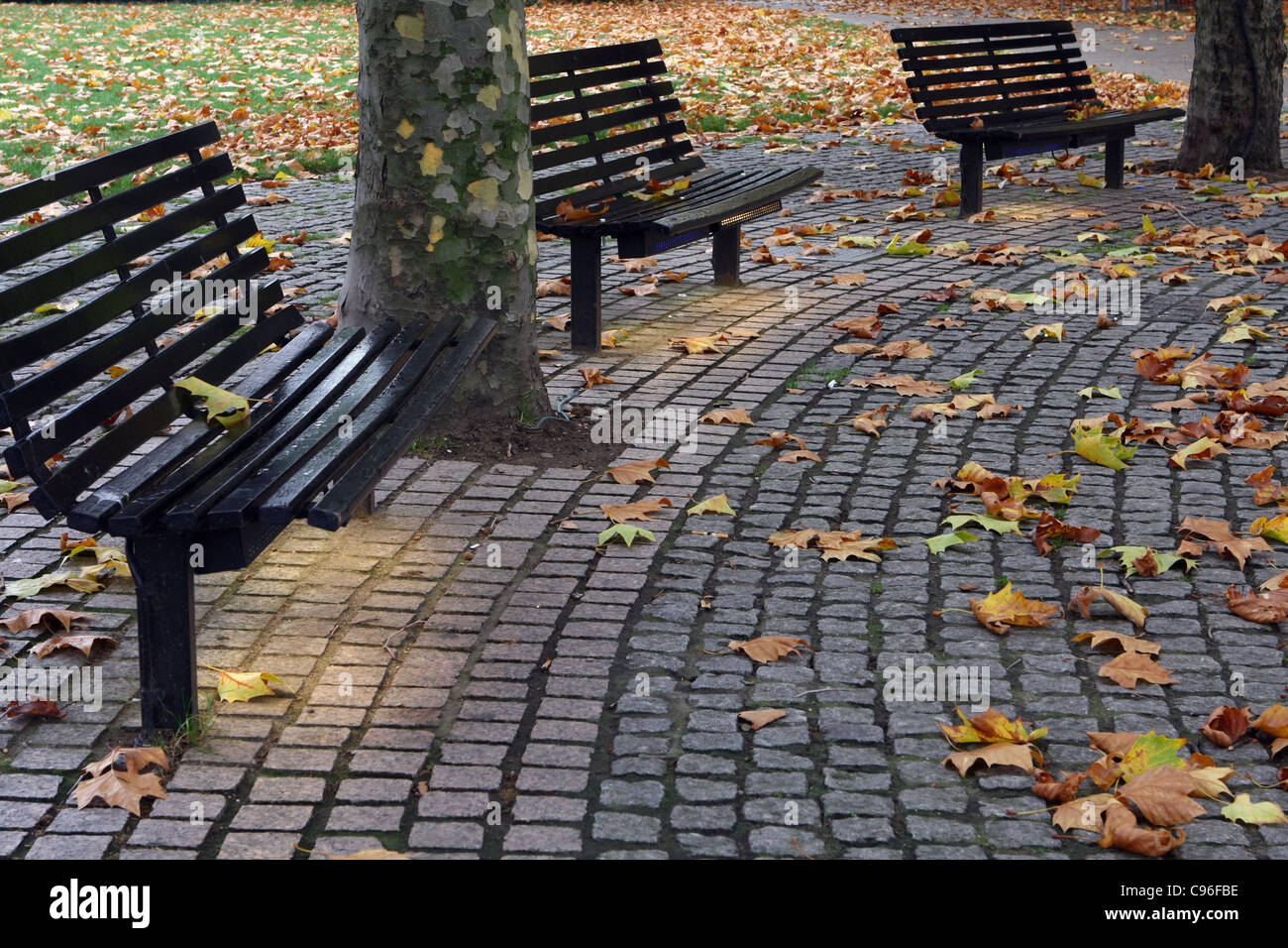 Panche di legno e tronchi di alberi caduti tra foglie su un percorso di mattoni Foto Stock