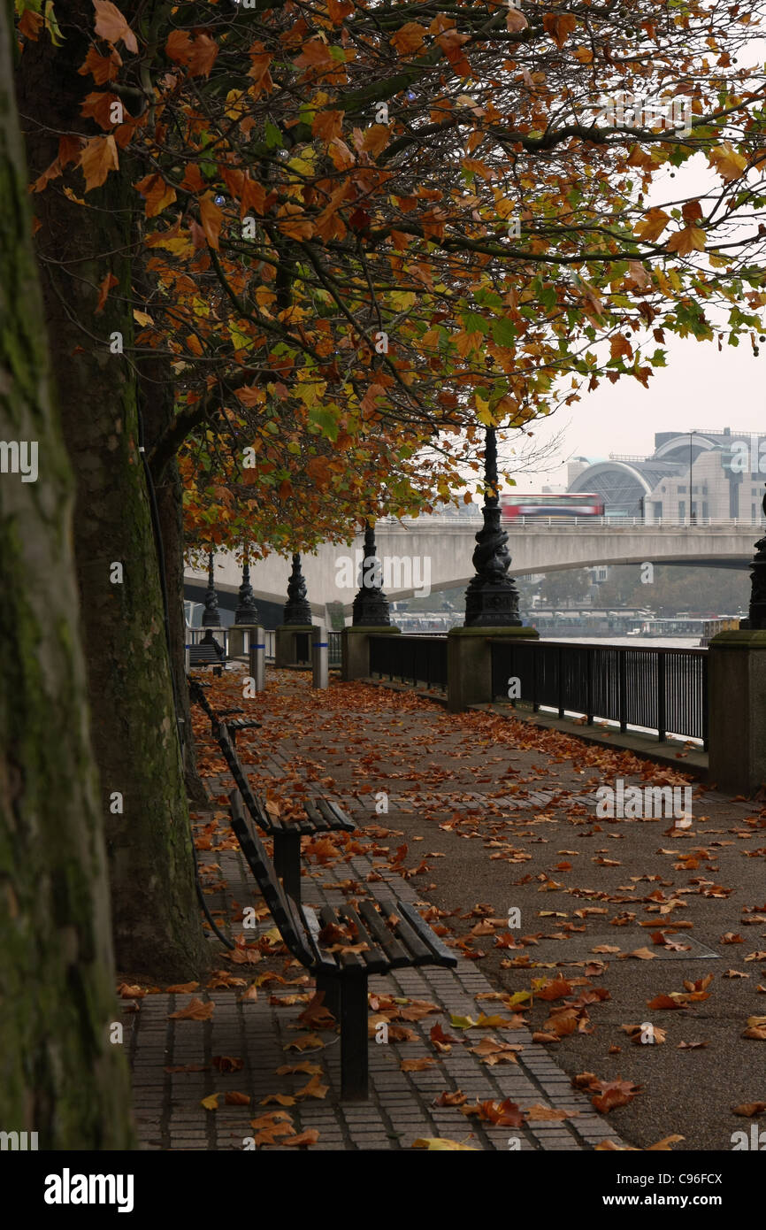 Panche di legno e alberi tra caduta foglie lungo gli argini del fiume Tamigi su una noiosa giornata d'autunno Foto Stock