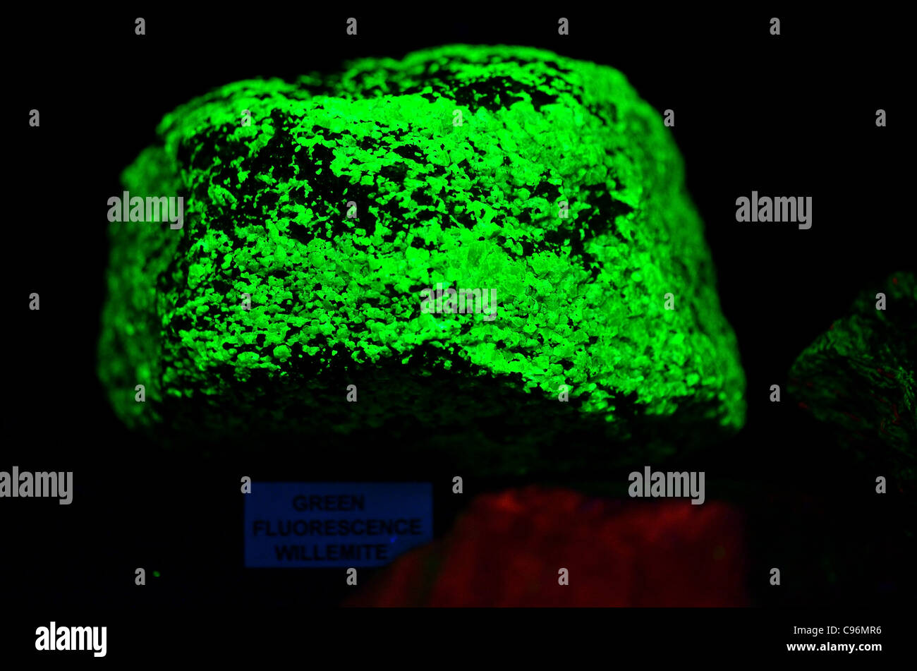 Minerali fluorescenti willemite (silicato di zinco Zn2SiO4) incandescente verde sotto luce UV. Foto Stock