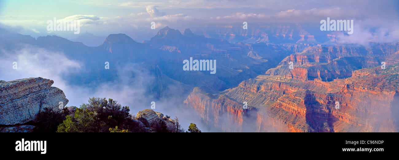 America del Nord-USA-Arizona Parco Nazionale del Grand Canyon North Rim, nebbia e nuvole Foto Stock