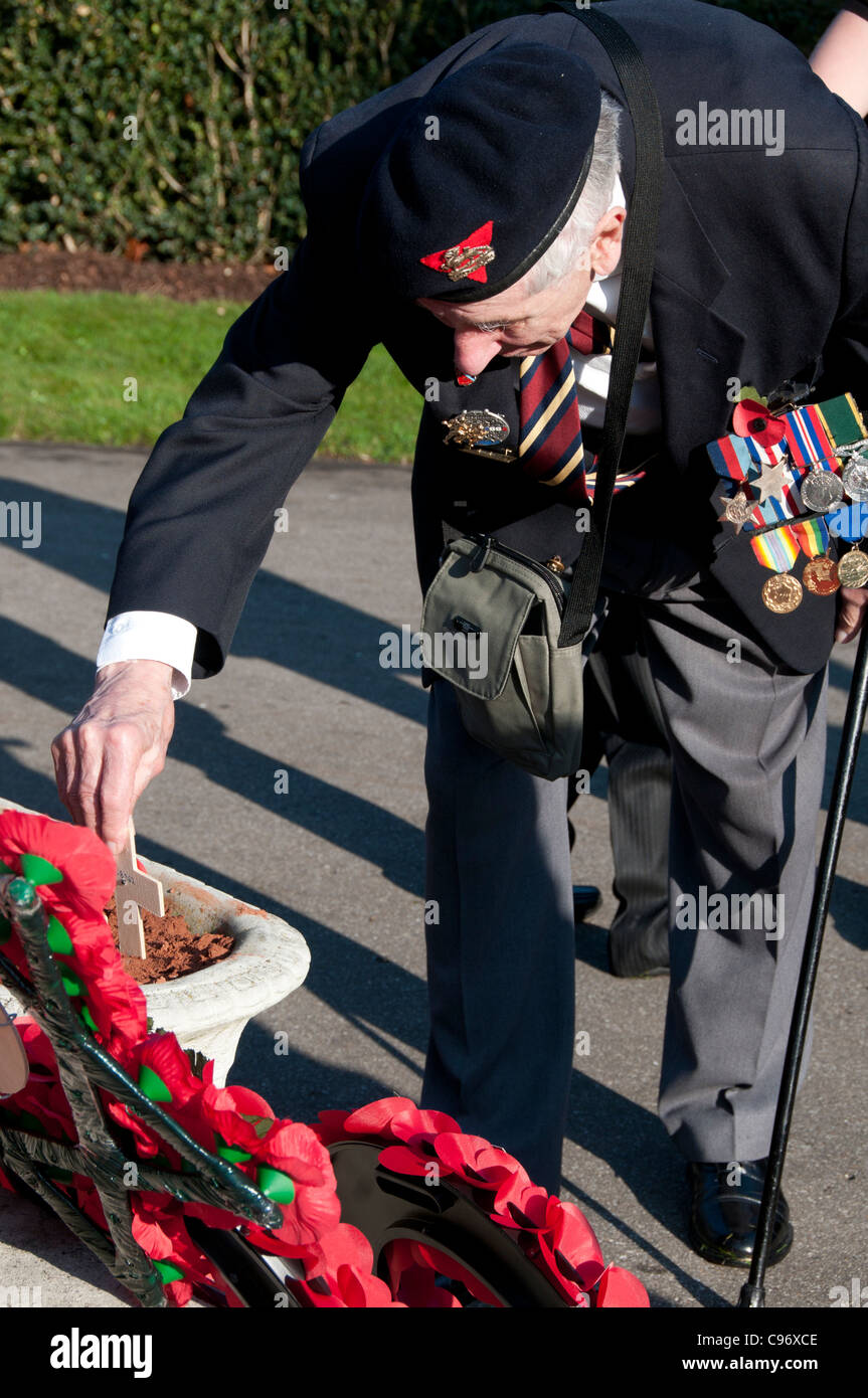 Ricordo Domenica,Veterano Jack Webb , 87, sbarcati a Juno Beach. 5° Battaglione Royal Berkshire reggimento, Foto Stock