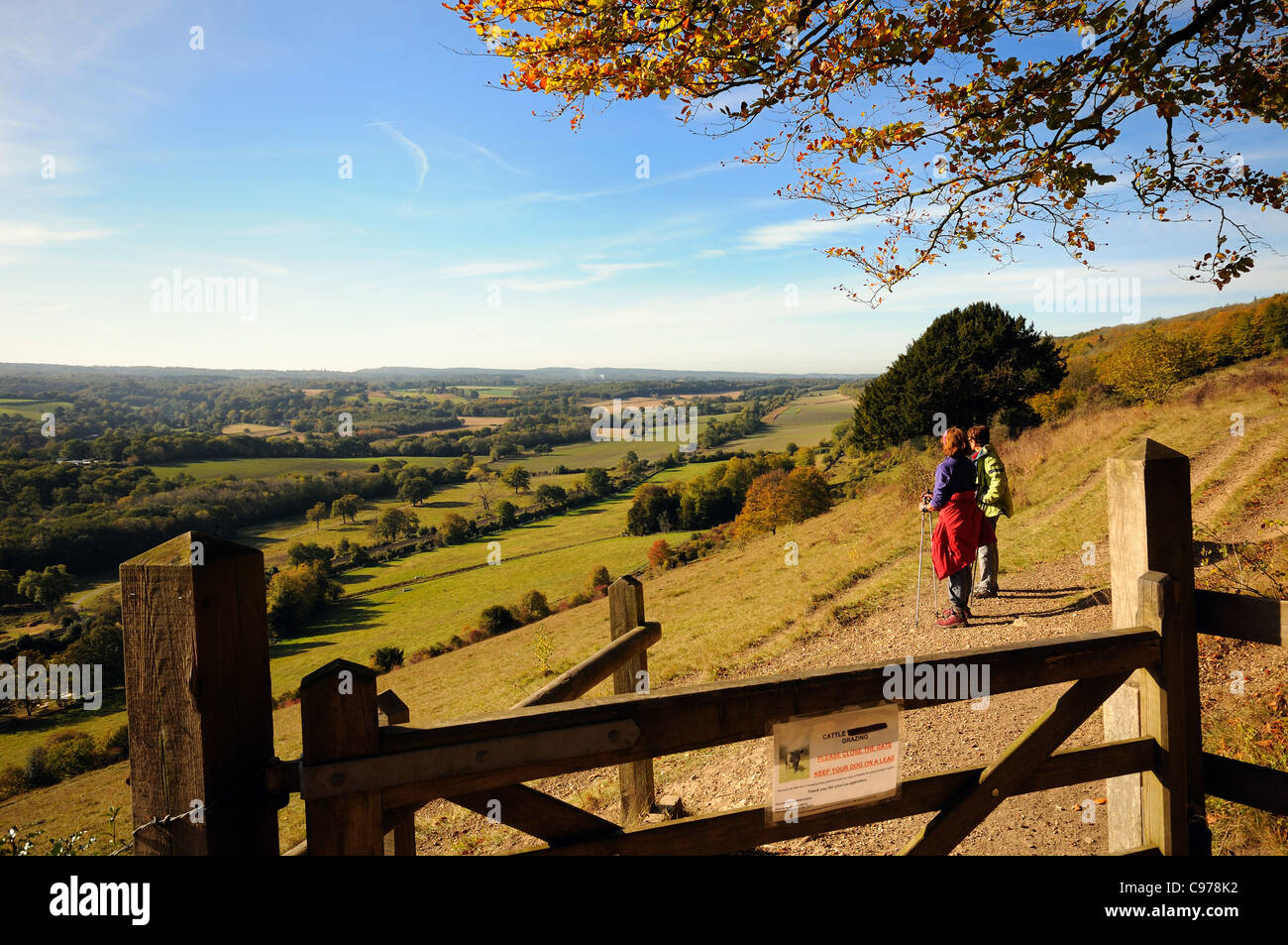North Downs al Comune Ranmore ,con due donne ramblers da gate Foto Stock