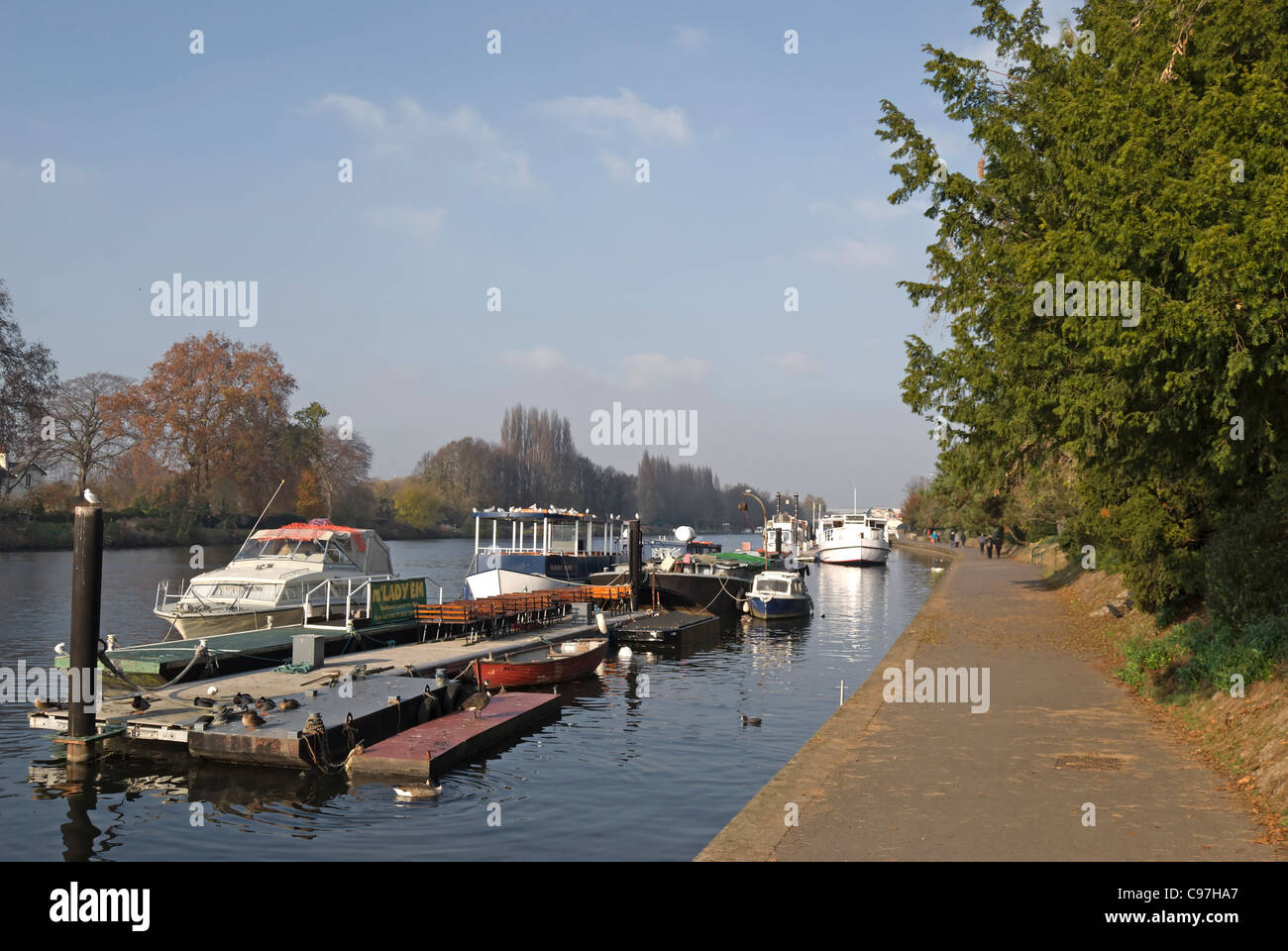 Vista lungo il Tamigi percorso accanto al fiume Tamigi guardando verso Kingston upon Thames Surrey, Inghilterra Foto Stock