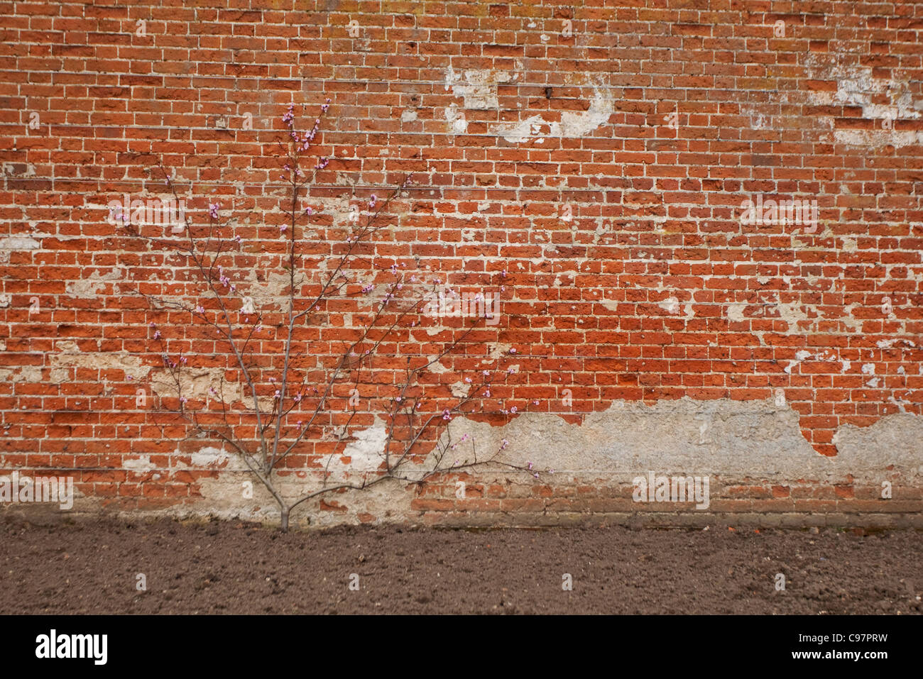 Close-up di una parete che mostra sbriciolamento mattoni a Blickling Hall Foto Stock