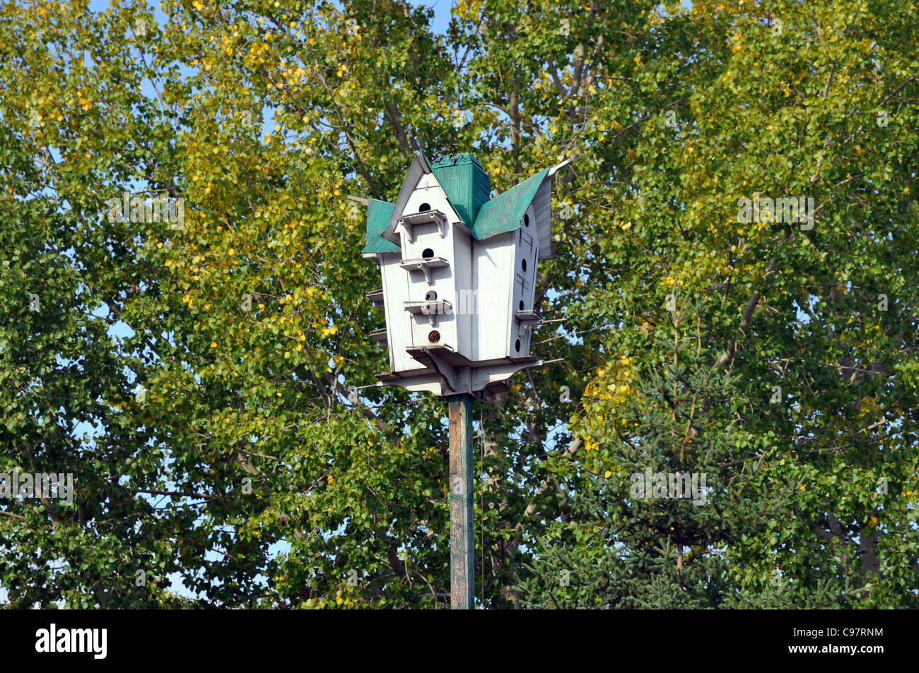 Birdhouse in legno in alto tra gli alberi Foto Stock