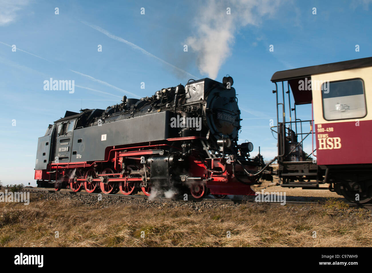 Treno a vapore, Harz a scartamento ridotto delle ferrovie, Sassonia-Anhalt, Germania, Europa Foto Stock