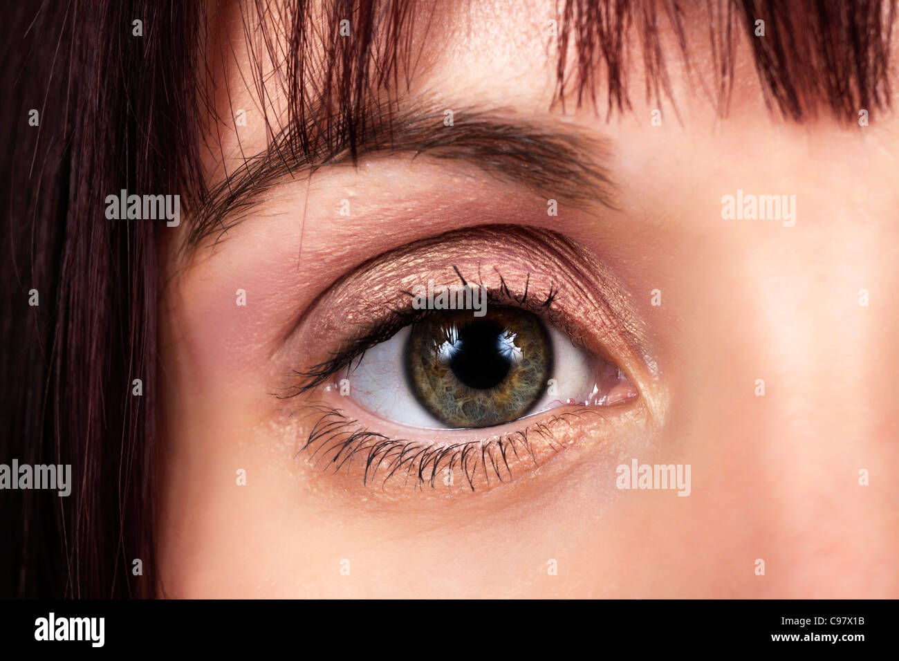 Chiudere l immagine della donna eye Foto Stock