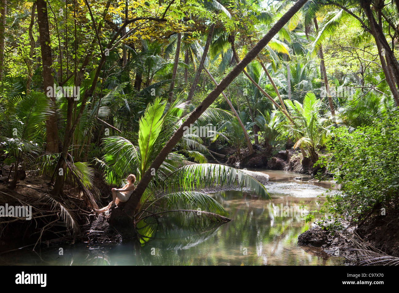 La donna in un momento di relax a riverbank nella foresta pluviale con alberi di palma Curu Riserva Naturale Curu Puntarenas Costa Rica America centrale America Foto Stock