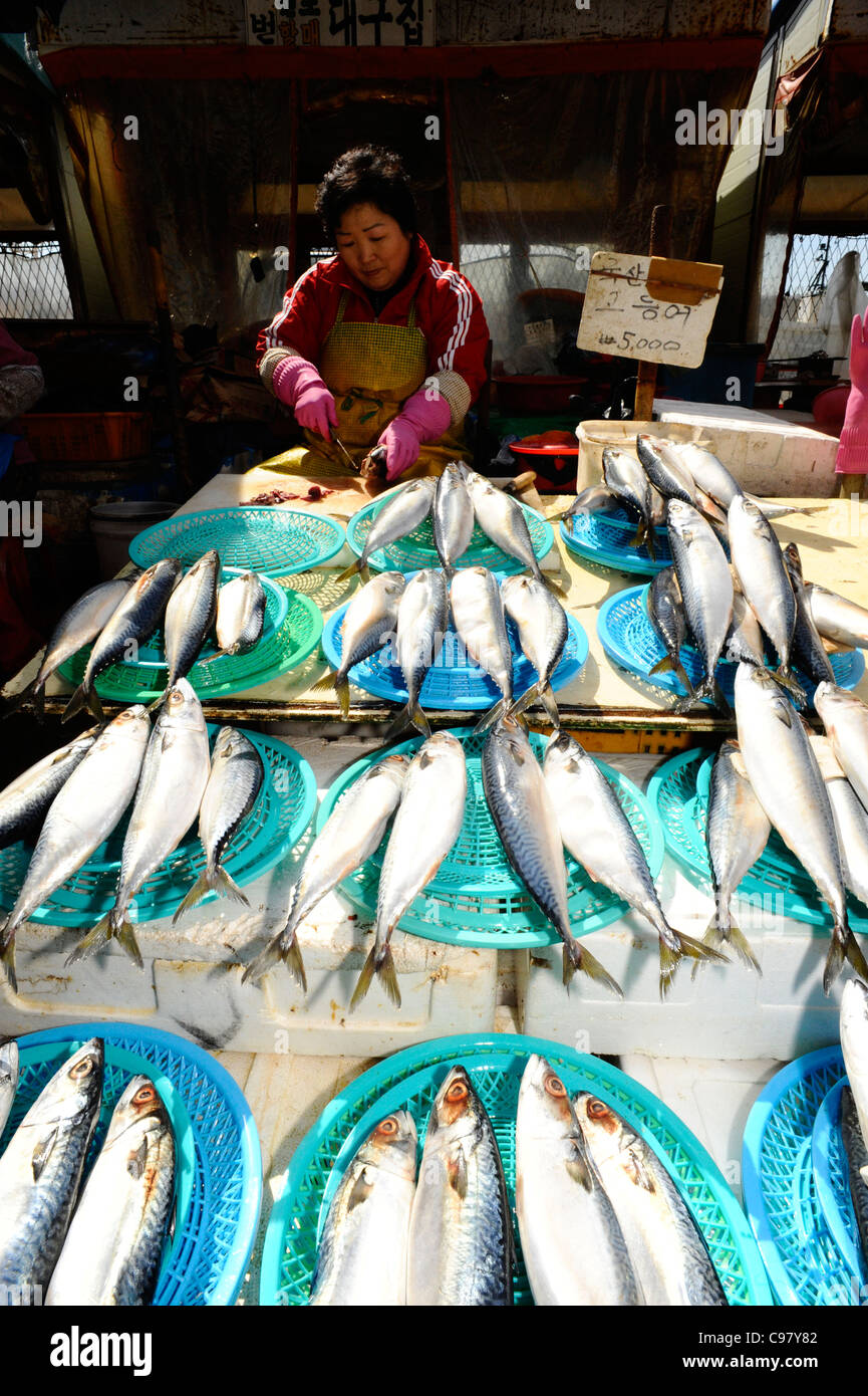 Jagalchi Mercato del Pesce, Busan, Corea del Sud. Foto Stock