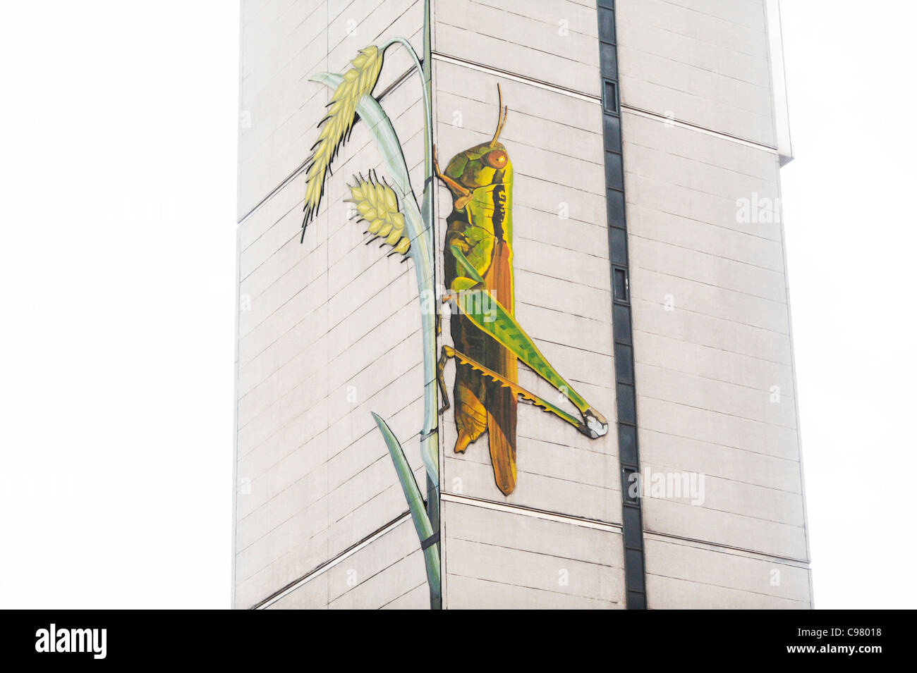 Un insetto artwork su un edificio di Busan, Corea del Sud. Foto Stock