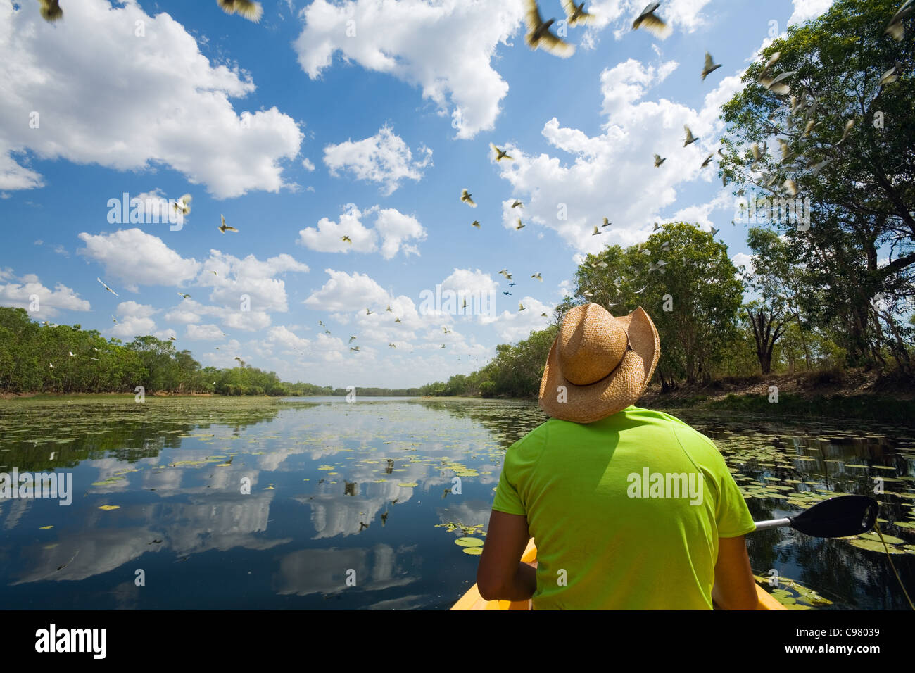 Un uomo pagaie un kayak su Annaburroo Billabong con uccelli overhead. Kakadu National Park, il Territorio del Nord, l'Australia Foto Stock