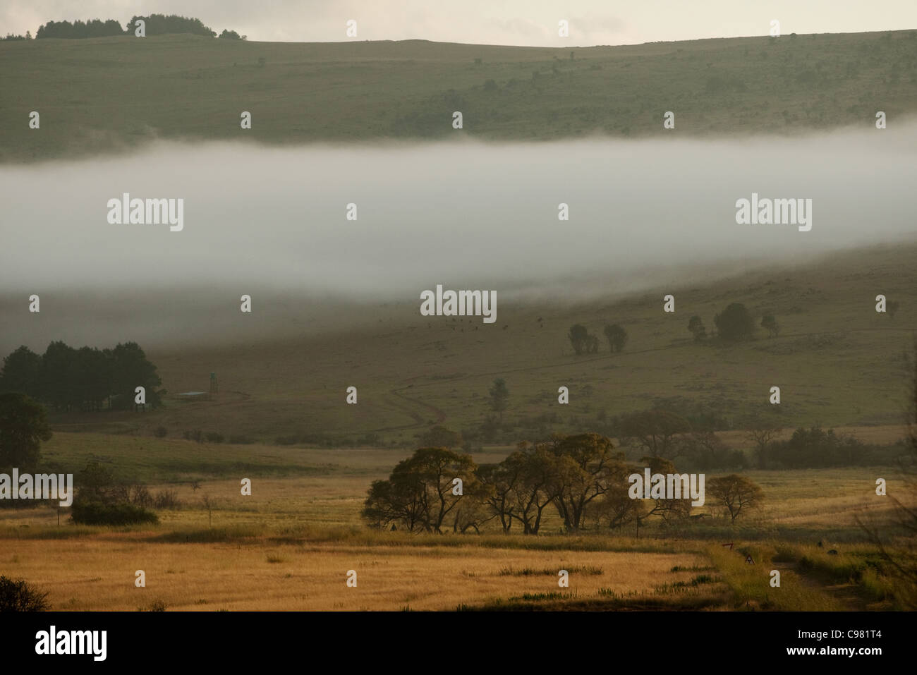 Moody highveld paesaggio con nubi a bassa quota e lontane creste montane Foto Stock