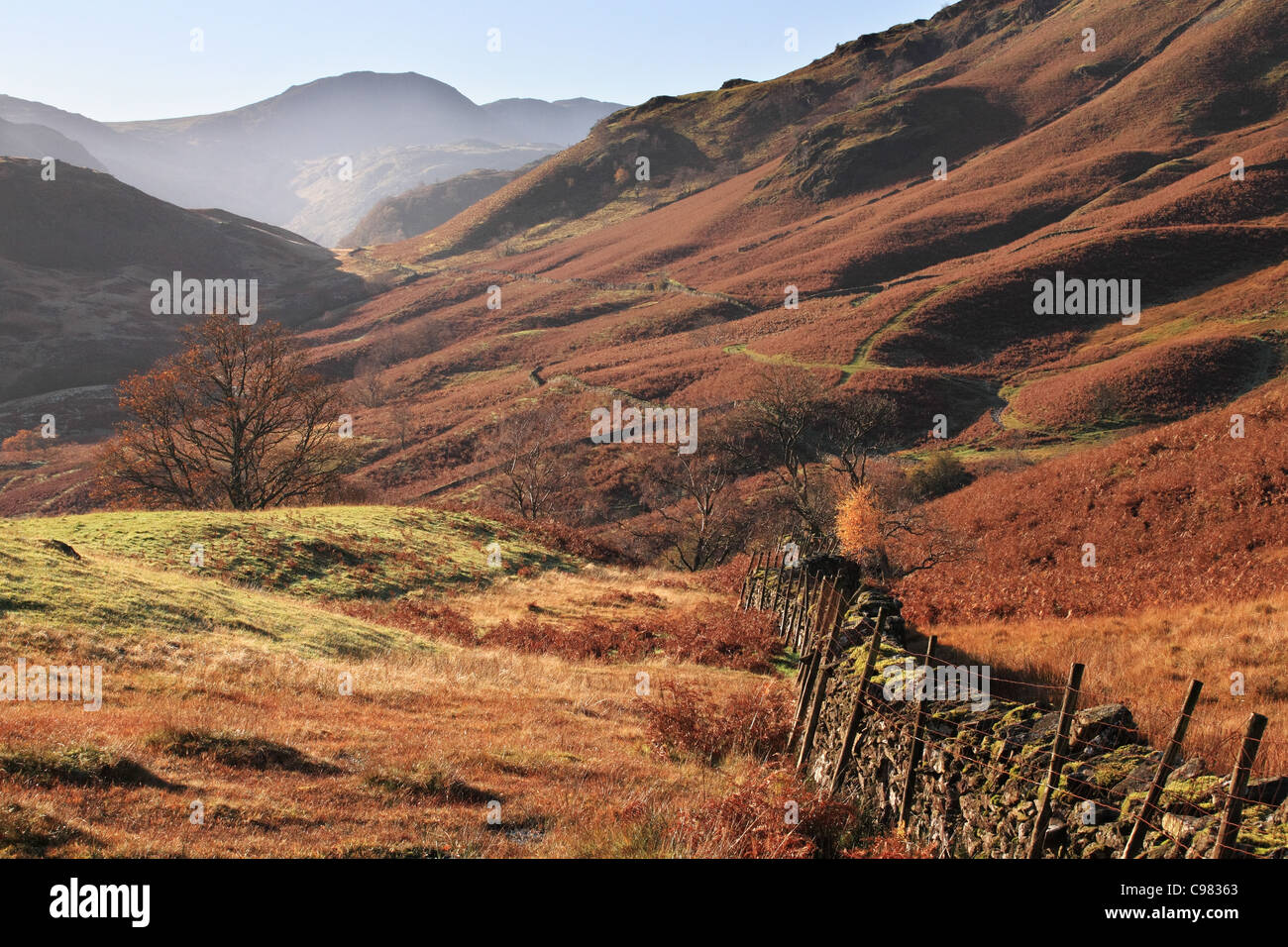 Vista di Borrowdale dalla rupe del castello in autunno. Lake District inglese, Cumbria, Regno Unito Foto Stock