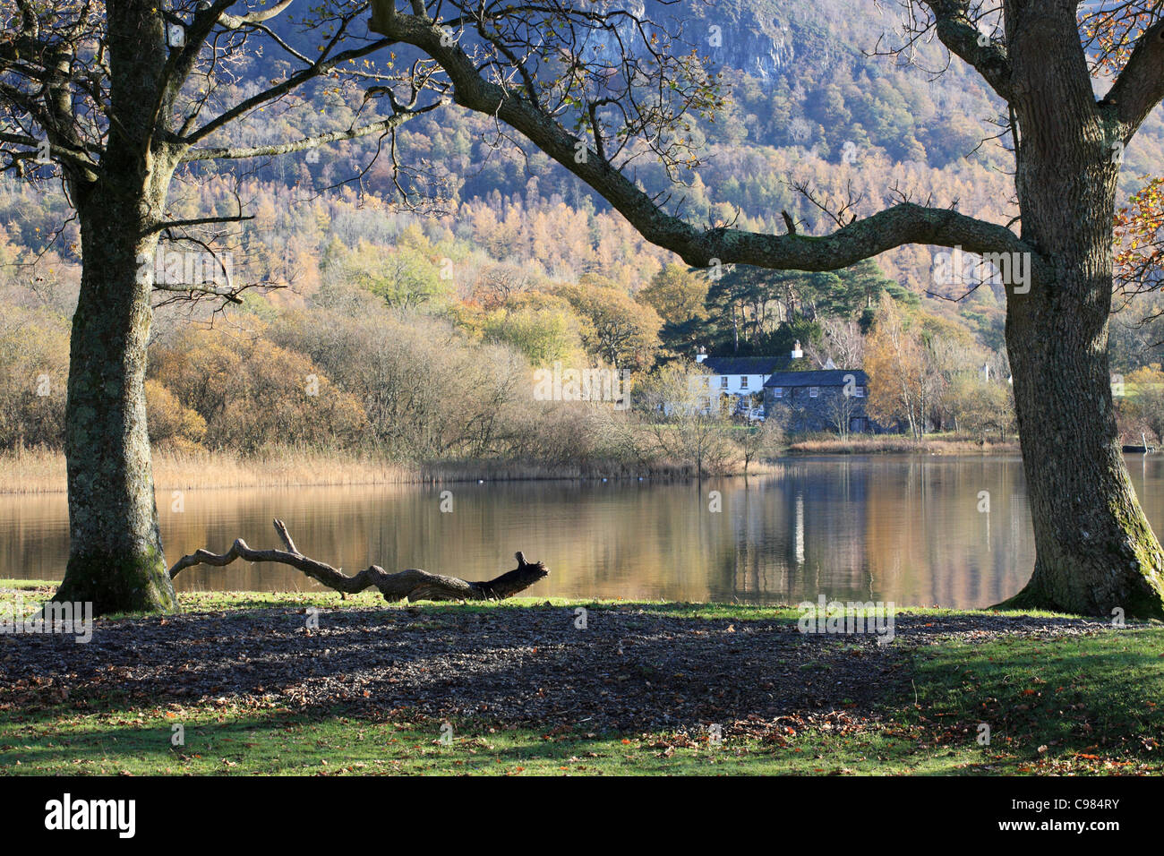 Vista dal frate la falesia attraverso Derwent Water a Keswick in autunno, Lake District inglese, Cumbria, Regno Unito Foto Stock