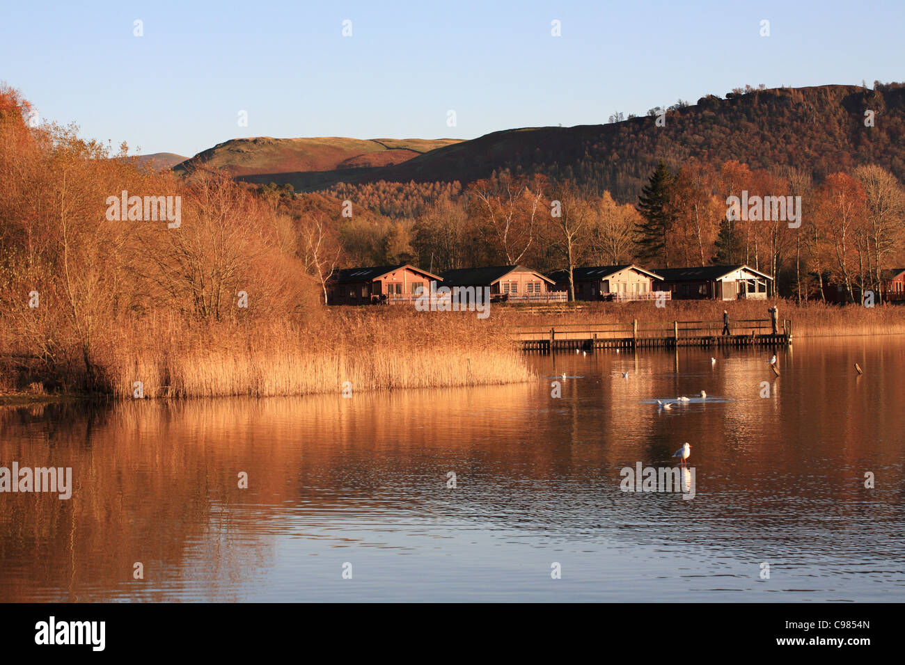 Serata calda luce illumina chalets in legno a Keswick, Derwent Water Lake District inglese, Cumbria, Regno Unito Foto Stock