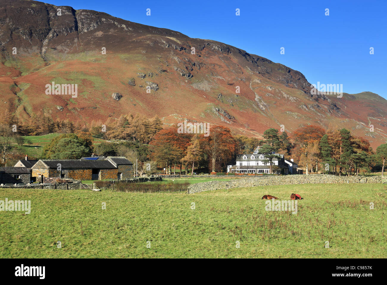 Nero roccioso sopra il villaggio di Grange, Lake District inglese, Cumbria, Regno Unito Foto Stock