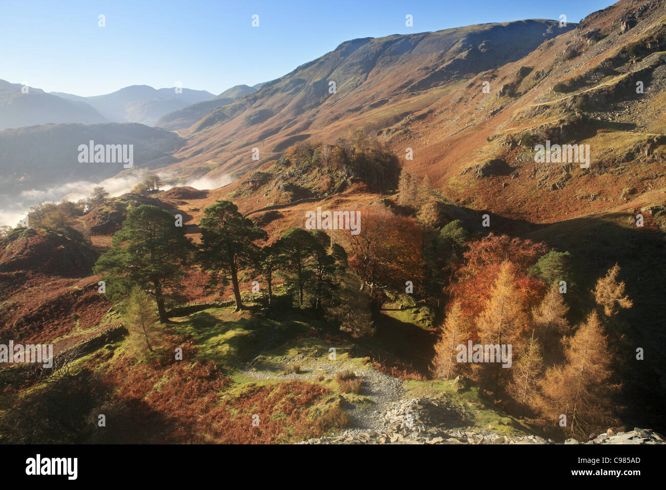 Borrowdale dalla rupe del castello, Lake District inglese, Cumbria, Regno Unito Foto Stock