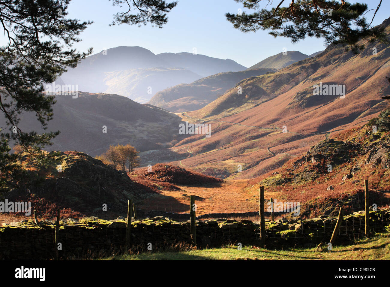 Borrowdale dalla rupe del castello in autunno Lake District inglese, Cumbria, Regno Unito Foto Stock