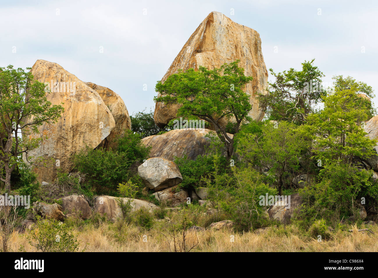 Un tipico koppie di granito nel lowveld del Sud Africa. Parco Nazionale di Kruger. Foto Stock