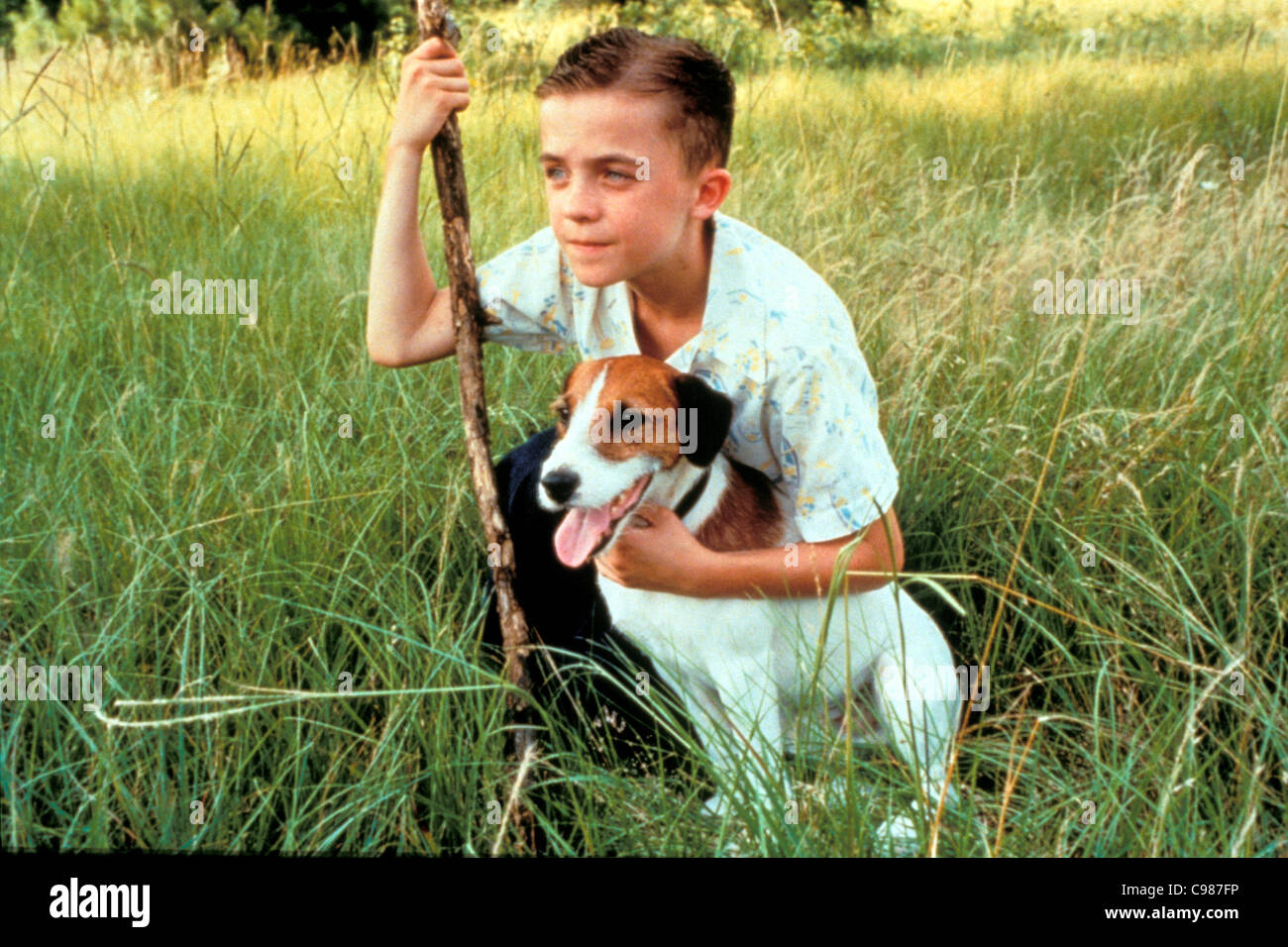 Il mio cane Skip Anno: 2000 USA Frankie Muniz Direttore: Jay Russell Foto Stock