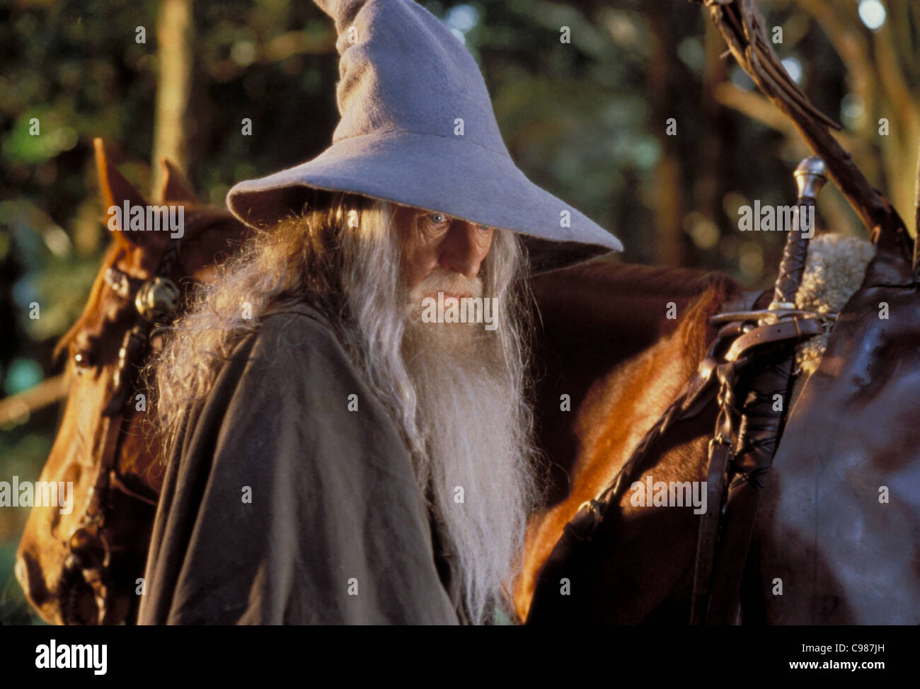 Il Signore degli Anelli: La compagnia dell'anello Anno: 2001 USA / Nuova Zelanda Regia: Peter Jackson Ian McKellen Foto Stock