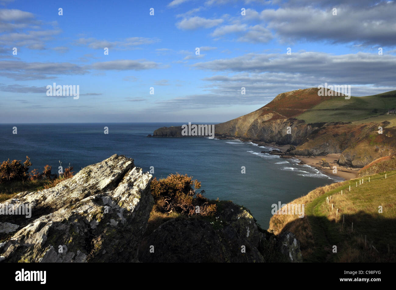 Ceredigion sentiero costiero a Llangrannog Galles Regno Unito Foto Stock