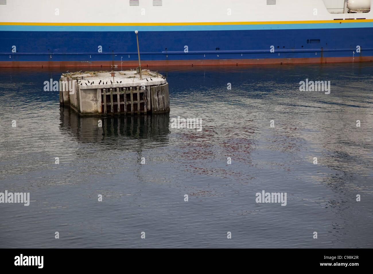 Una foto a colori di alcuni uccelli marini in appoggio su un vecchio cemento la boa nel porto di traghetto, Nova Scotia Foto Stock