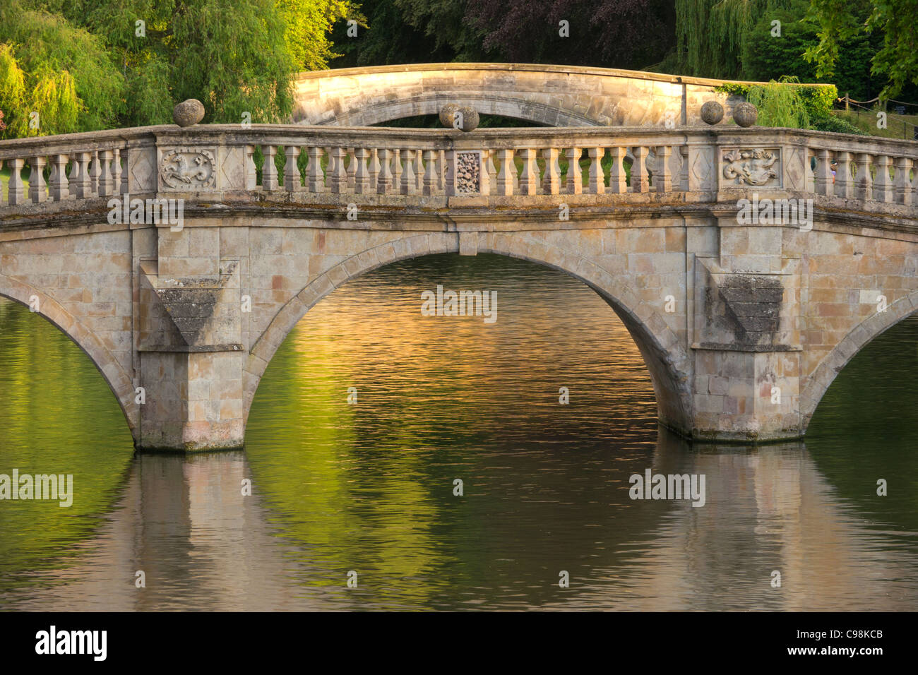Punting sul fiume Cam, Cambridge, Cambridgeshire, Regno Unito Foto Stock