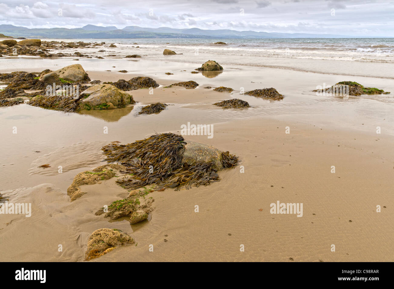 Tranquilla di scena a Criccieth spiaggia di bassa marea Foto Stock