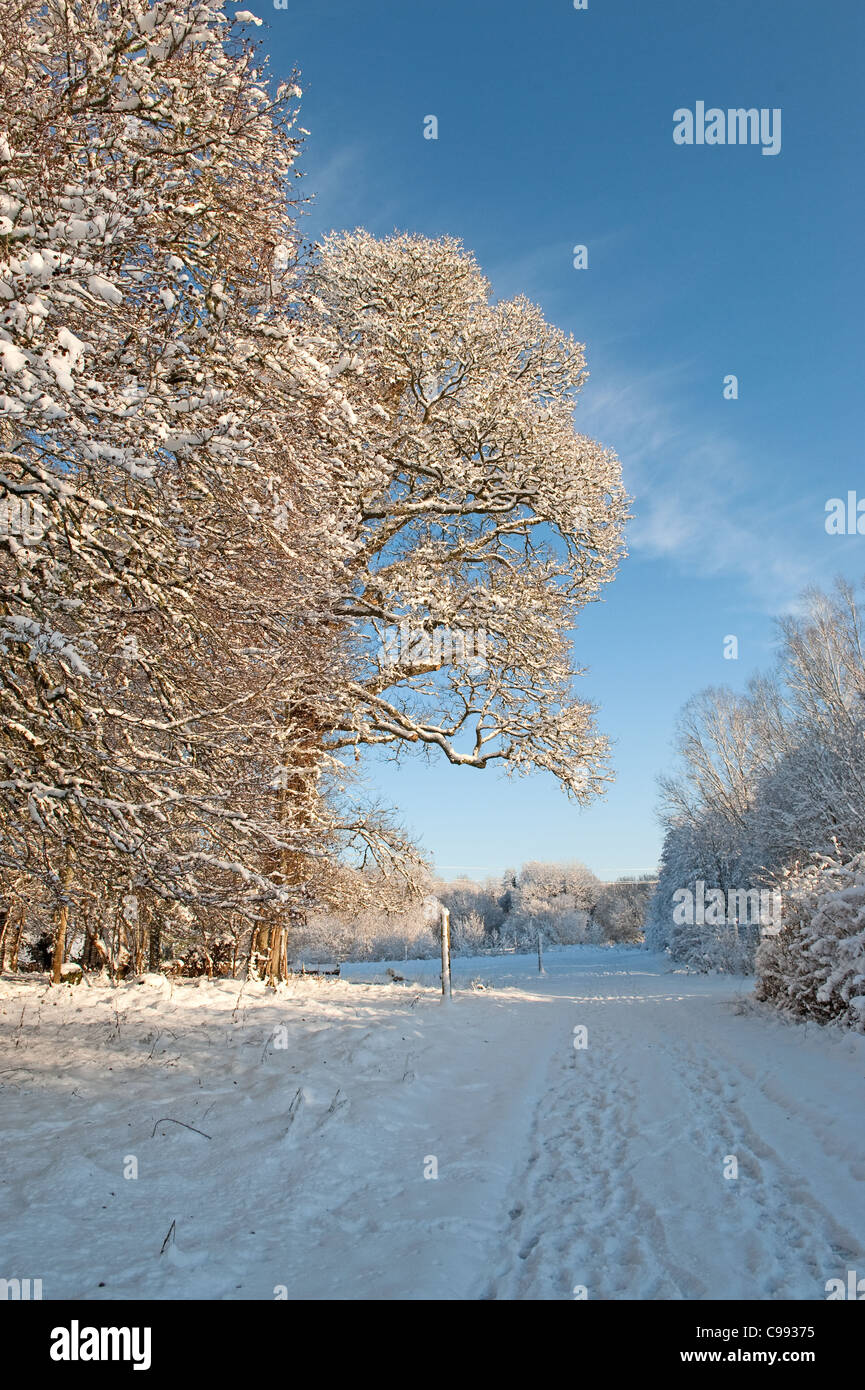 Bella giornata invernale nel paese Foto Stock
