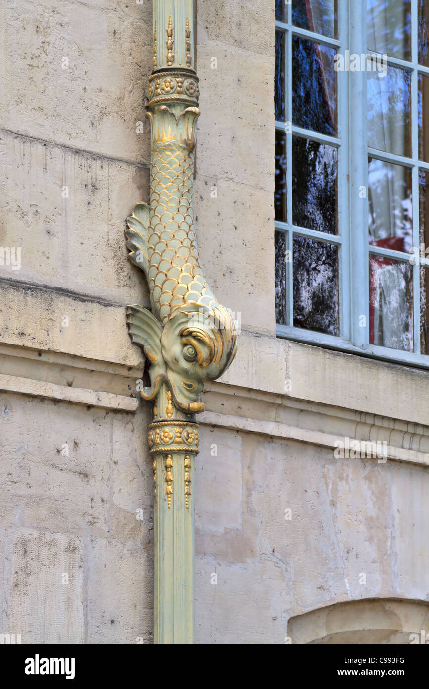 Elegante delfino dorato la grondaia del Hotel De Lausun, Parigi. L'edificio è ora di proprietà della città di Parigi. Foto Stock
