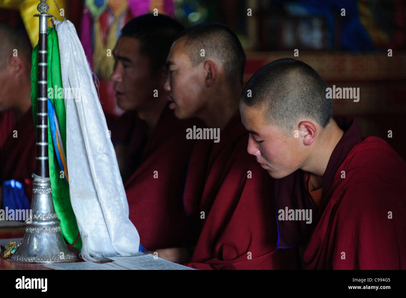 I monaci la preghiera nel monastero di Shankh (khiid), Mongolia Foto Stock