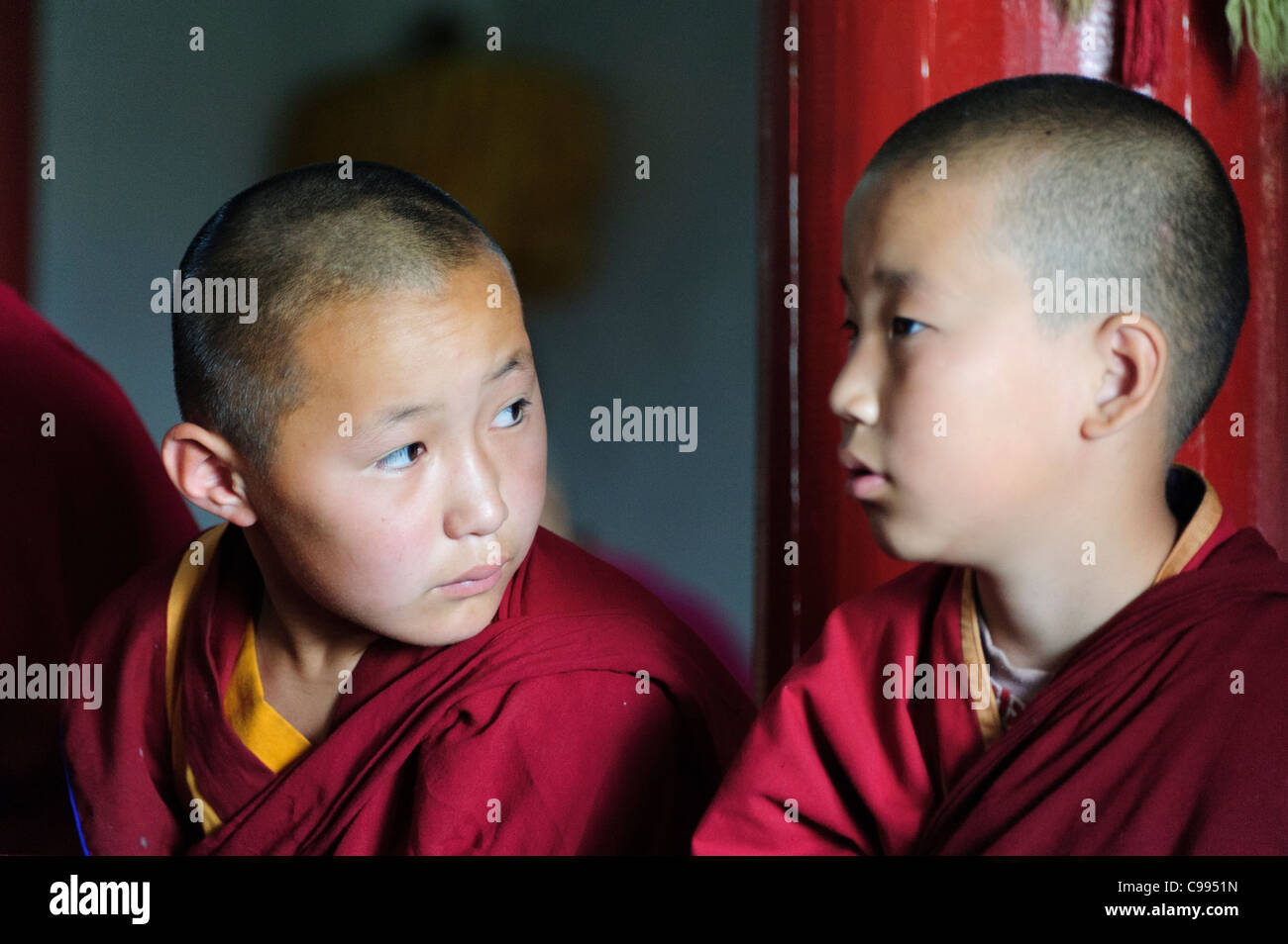 I monaci la preghiera nel monastero di Shankh (khiid), Mongolia Foto Stock