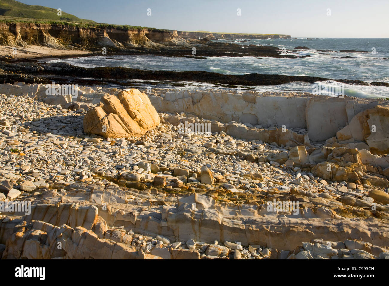 CALIFORNIA - arenaria stratificata a Quarry Cove sulla costa del Pacifico in Montana de Oro parco dello stato. Foto Stock