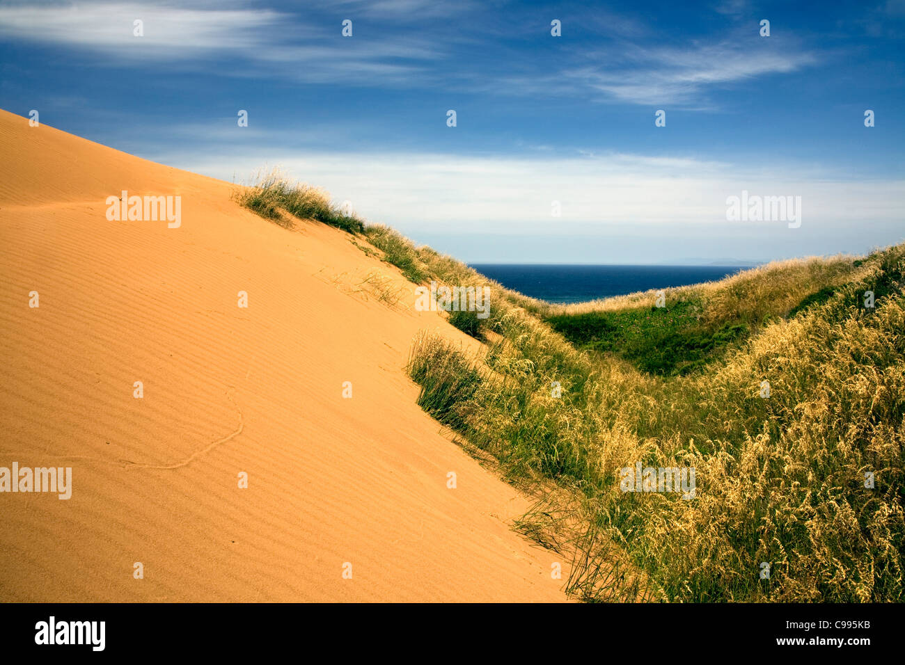 CALIFORNIA - Le dune di sabbia in Montana de Oro parco dello stato. Foto Stock