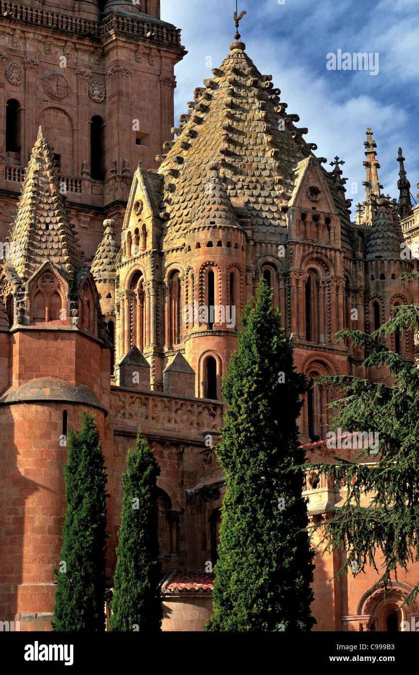 Spagna Salamanca: Vista della vecchia cattedrale visto dal patio Chico Foto Stock