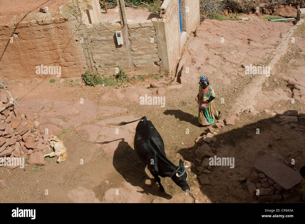Un marocchino lady camminare vicino a casa sua nel montagne vicino a Marrakech Marocco Africa del Nord Foto Stock
