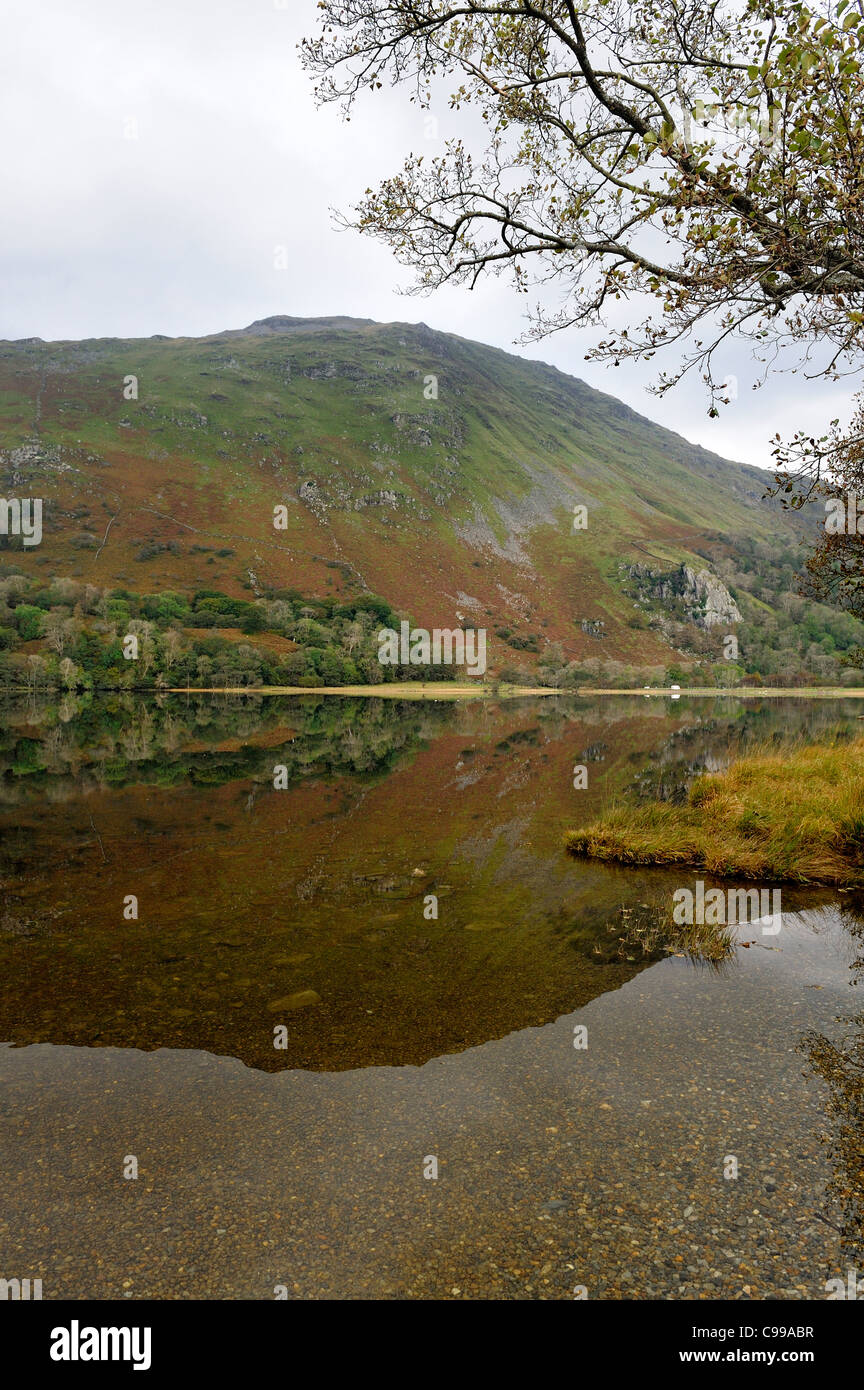 Llyn Gwynant sul fiume Glaslyn snowdonia national park gwynedd north Wales UK Foto Stock