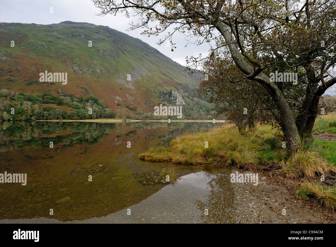 Llyn Gwynant sul fiume Glaslyn snowdonia national park gwynedd north Wales UK Foto Stock