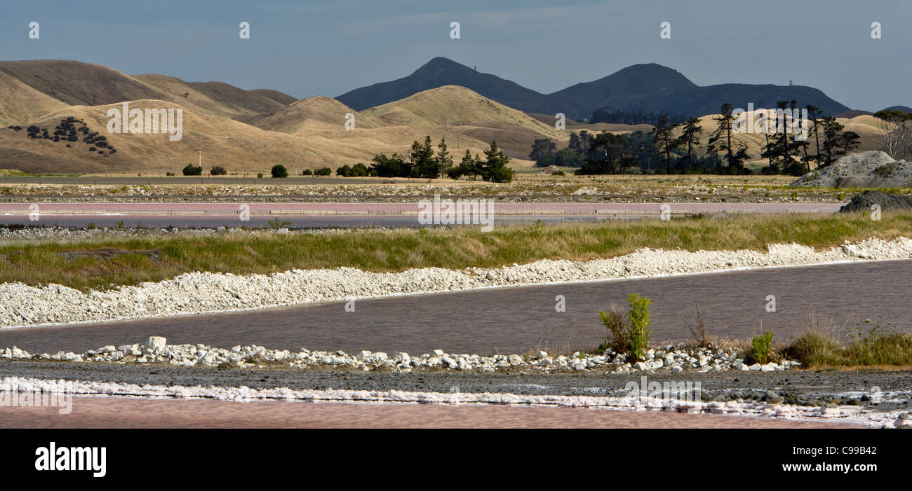 Sito di una fabbrica di sale vicino a Seddon in Nuova Zelanda Foto Stock