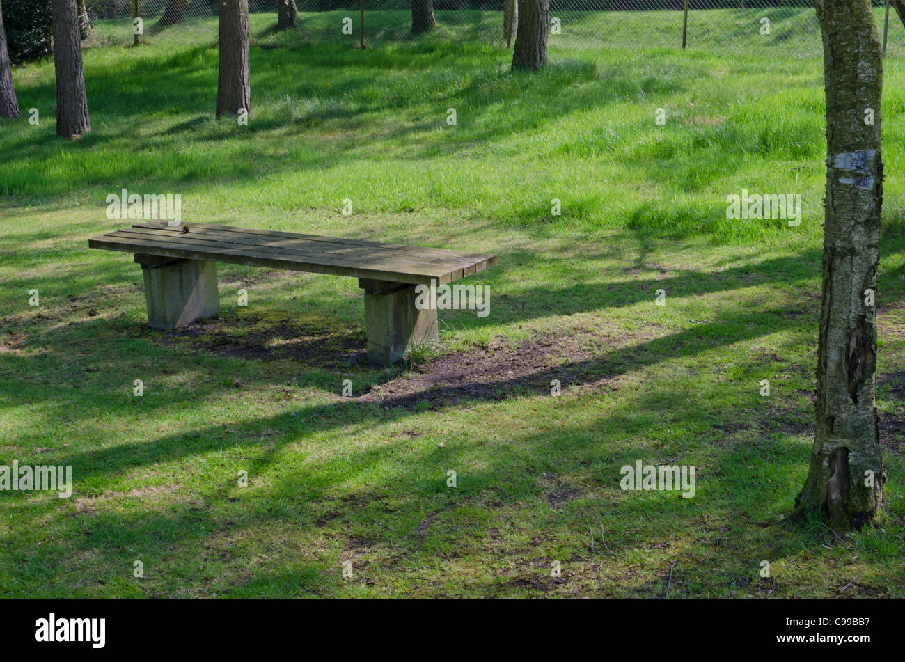 Panca in legno tra gli alberi in una radura erbosa Foto Stock