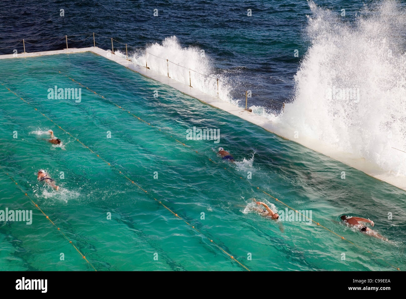 Nuotatori facendo giri a Bagni di Bondi - home alla Bondi iceberg club di nuoto. Sydney, Nuovo Galles del Sud, Australia Foto Stock