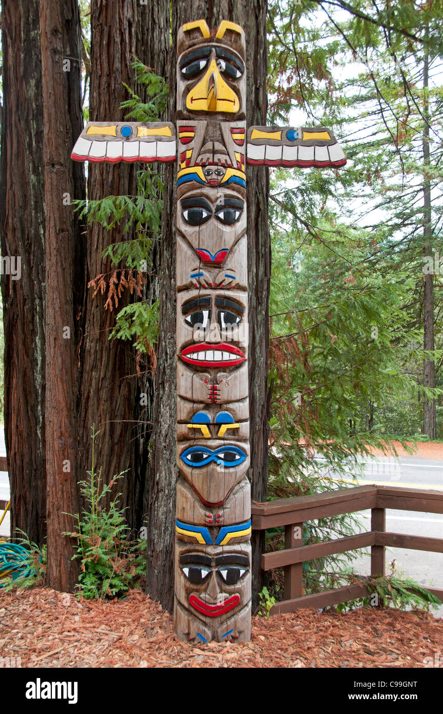 Confusione collina nord della California totem Redwoods Parco nazionale Stati Uniti d'America Foto Stock