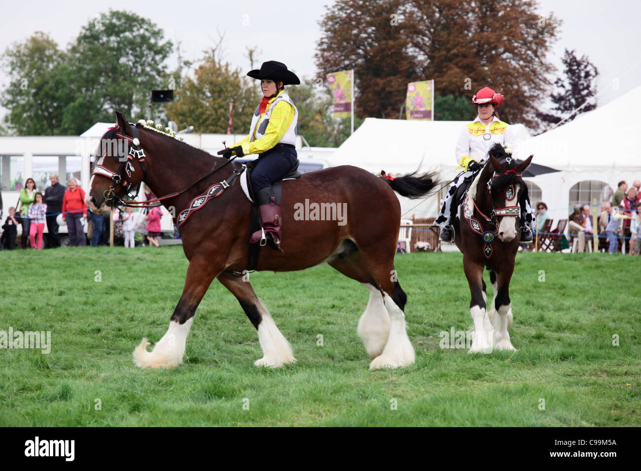 Waldburg Shires musical ride Foto Stock