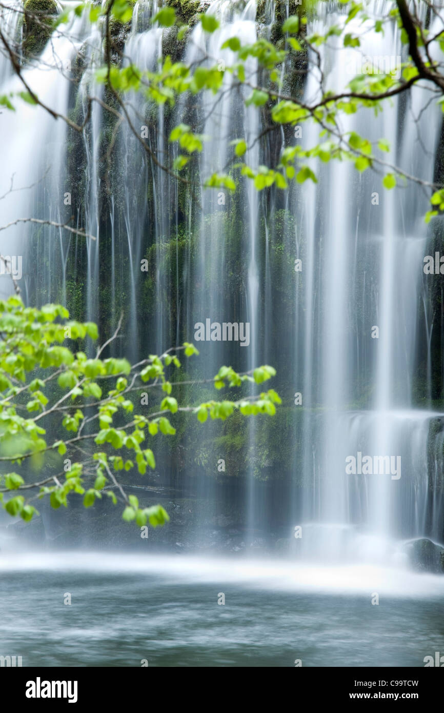 Foresta Fiume e cascata, Wales, Regno Unito Foto Stock