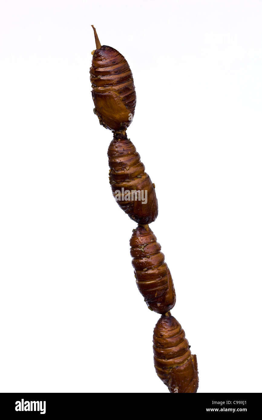 Larve cotte di bachi da seta in vendita al mercato notturno di Wangfujing Street Food Pechino Cina - un esempio dello strano o strano cibo mangiato dalla gente Foto Stock