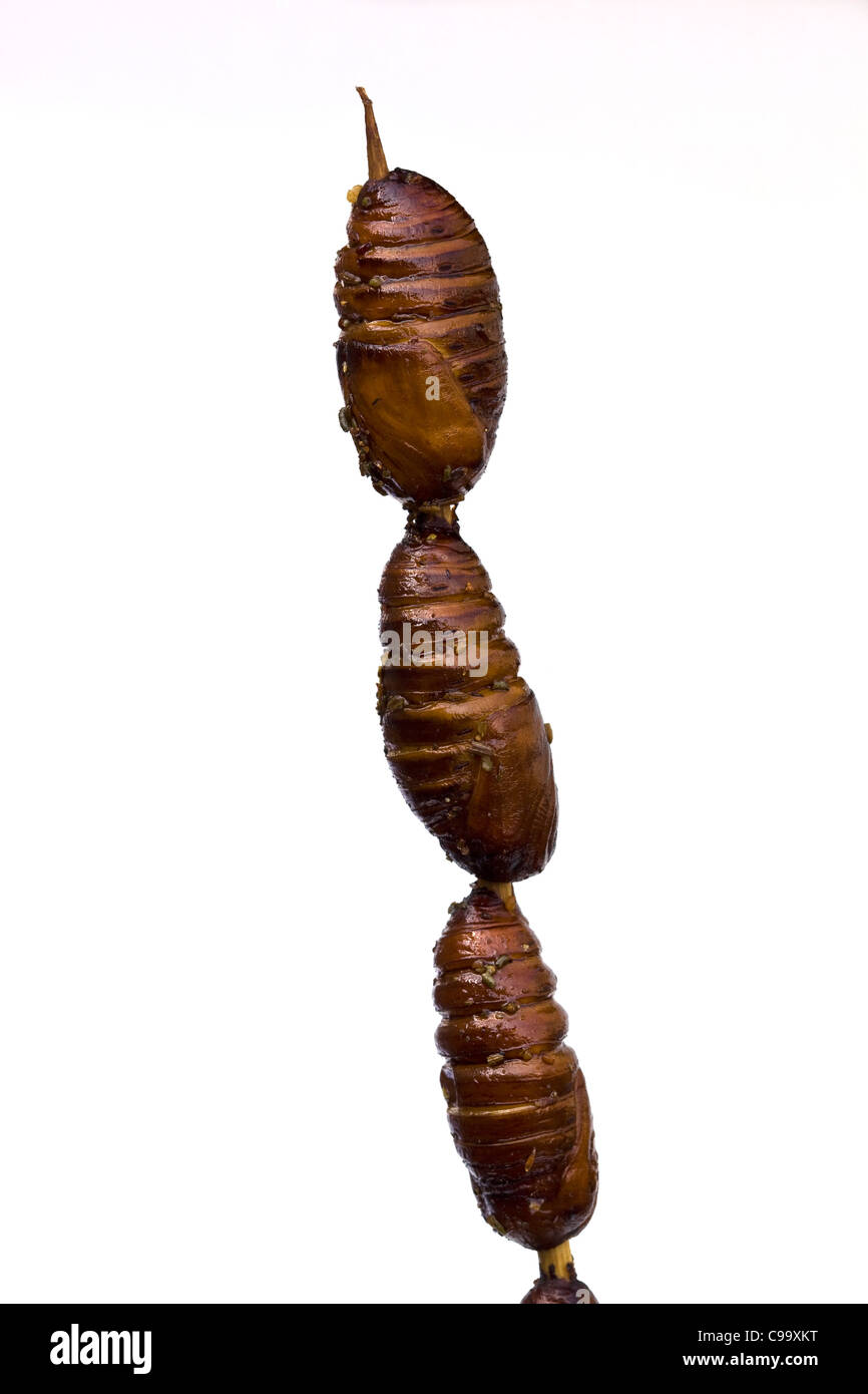 Larve cotte di bachi da seta in vendita al mercato notturno di Wangfujing Street Food Pechino Cina - un esempio dello strano o strano cibo mangiato dalla gente Foto Stock
