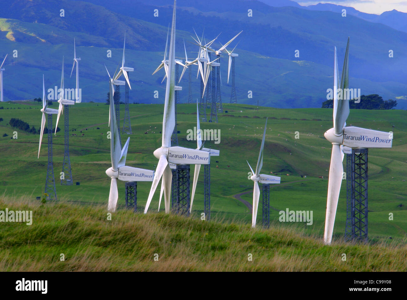 Tararua wind farm vicino alla Gola di Manawatu Affitto in Nuova Zelanda Foto Stock